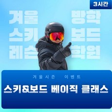 [강원도/홍천/비발디] 비발디파크 스키강습 보드강습 3시간 지노스키앤보드스쿨