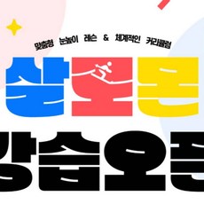 [경기] 곤지암리조트 살로몬스키스쿨 스키/보드강습, 렌탈