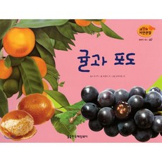 한국헤밍웨이세밀화자연관찰채소