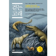 걷는고래