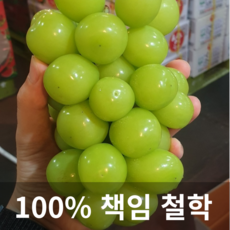 샤인머스켓1kg