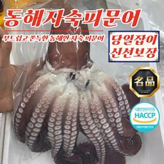 문어카르파쵸