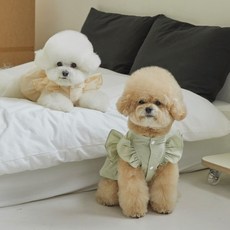 떼아몽