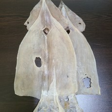 마른오징어 파품 1kg 500g 10마리 내외 건오징어 신선씨푸드, 1개, 일반오징어파품500g