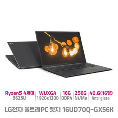 LG전자 16UD70Q-GX56K 울트라엣지 라이젠5 16G 가성비 대화면 가벼운 노트북, Free DOS, 16GB, 256GB, 그레이