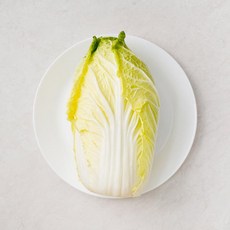 알베기배추박스