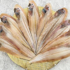 반건조 박대 선물세트 10미, 본상품선택, 1개