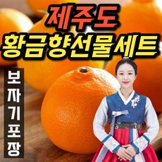 온브릭스황금향2kg