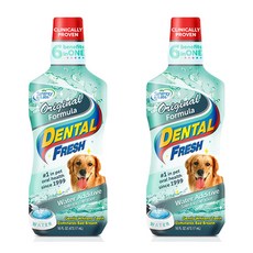 시너지랩 덴탈후레쉬 오리지널 포뮬라 503ml X 2개