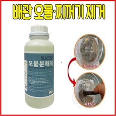 오물러렌지