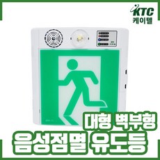 음성점멸유도등