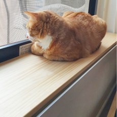 윈도캣 고양이 젤리보호 창틀덮개 창문틀막이 창가선반, 96~120cm, 24~30cm