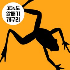 개구리즙 TOP01