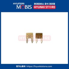 현대모비스 순정 미니휴즈 5A (08C0630242), 1개