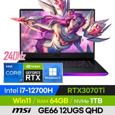 [사은품 증정!] MSI 레이더 GE66 12UGS QHD 고사양 배그 롤 오버워치 발로란트 에이펙스 영상편집 15인치 게이밍 노트북 (코어i7-12700H/RTX3070Ti), 윈도우 포함, 64GB, 1TB, 코어i7, 그레이