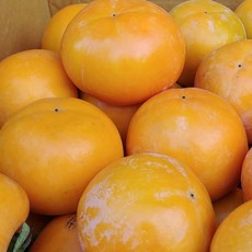 [우아한농부의 못난이과일] 가치소비의 시작 단감 4kg