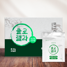 강아지항산화제