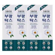 부광탁스 TOP01