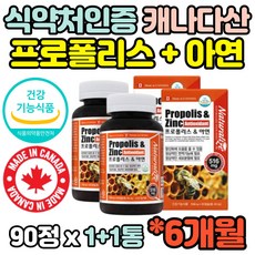 킹프로폴리스