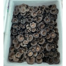 꽃느타리 2kg, 1개
