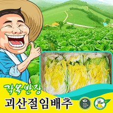 괴산닷컴 작목반장 괴산절임배추 20kg 정말 맛있는 절임배추 고랭지, 11월30일도착