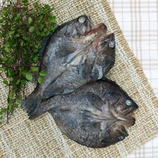 녹동수산 국내산 반건조 우럭2미(27~30cm내외300~350g내외), 1개