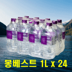 버니몽아모르