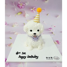 강아지전신케이크