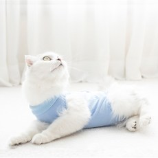 수컷환견복