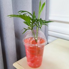 72c0f1b945418269715df4b0cdeea6447d27f0e5c564d6d0fc1c0e1c6ad7.jpg