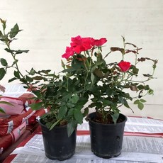 aa8cb986b80812587d4e1720edd33fb0c33dce956b9c1516a286921b1ccb.jpg