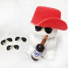 미니어처선글라스