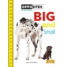 (영문도서) Big and Small Library Binding, Crabtree Roots, English, 9781427140166