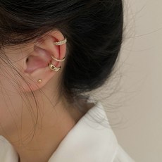 아니사케르미쉬