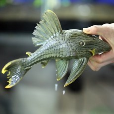 f303e29c2fa8b693cf79f8b1d51a0907bb076cd4b44583b32b16bc252a4a.jpg