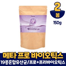 메타포트프로2