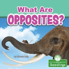 What Are Opposites? Library Binding, Crabtree Seedlings, English, 9781427128461