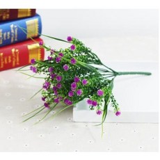 babybreath