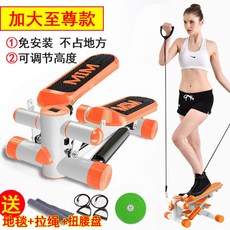 계단오르기 계단운동기구 무소음 힙업 홈트레이닝 홈트 유산소 여자힙, I, .