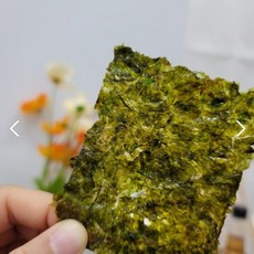 시월애봄날
