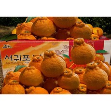 [황금농원] 고당도 서귀포 하우스한라봉 3kg 5kg, 선물고급3kg특대과(7과)