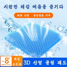 에어셀방석1+1