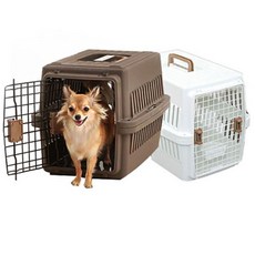 애견동반캠핑카