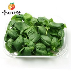 바질1kg