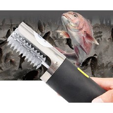 가락시장모듬회