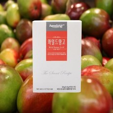 힐링 와일드망고 스틱분말, 상세페이지 참조, 상세페이지 참조