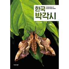 한국 박각시