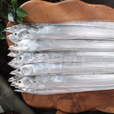 [TV홈쇼핑정품 인포벨]제주식탁 제주 은갈치 산지직송 진공 개별 포장 100% 국내산 손질 토막