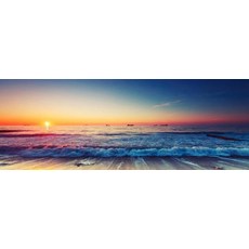 부릉부릉씽씽자동차세트