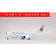 실버루프트한자